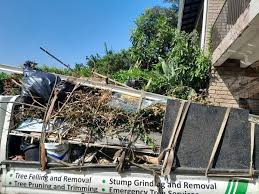 Trusted Edgewood, NM Junk Removal Services Experts